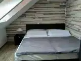 Двухместный номер с 1 кроватью или двумя отдельными