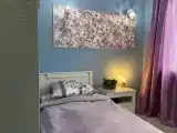 Апартаменты сирень