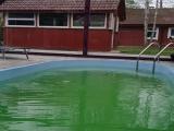 Семейный (FAMILY) Семейный номер