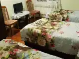 Трёхместный номер стандарт с видом на горы