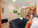 Двухместный номер с 1 кроватью Двухместный номер Делюкс