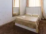 Двухместный номер с 1 кроватью VIP
