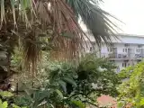Трёхместный номер эконом с видом на город