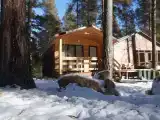 Дом Одноуровневые шале