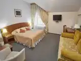 Двухместный номер с 1 кроватью или 2 отдельными кроватями, комфорт