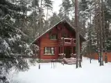 Отдельный дом Дом коттедж ВИП 8