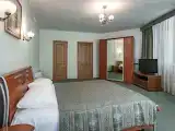 Двухместный номер с 1 кроватью люкс