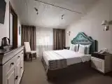 Двухместный номер с 1 кроватью мансардный, Завтрак Шведский стол включен