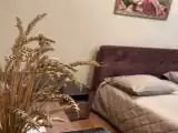 Двухместный номер с 1 кроватью люкс