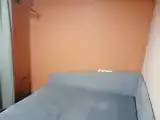 Двухместный номер с 1 кроватью Маленькая комната с одной 2-спальной кроватью. Заселение до 23-00.