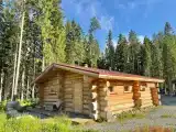 Отдельный дом Дом Алеша Попович
