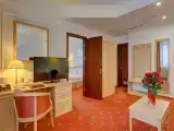 Двухместный номер с 1 кроватью люкс двухкомнатный