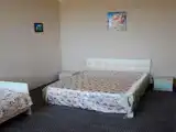 Двухместный номер с 1 кроватью с дополнительным местом