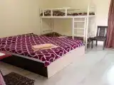 Семейный номер стандарт