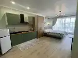 Апартаменты студия