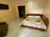 Двухместный номер с 1 кроватью стандарт