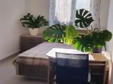 Двухместный номер с 2 отдельными кроватями жимолость