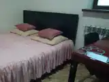 Двухместный номер с 1 кроватью double