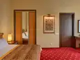 Двухместный номер с 1 кроватью люкс
