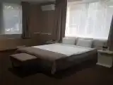 Двухместный номер с 1 кроватью для МГН