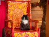 Двухместный номер с 2 отдельными кроватями улучшенный с видом на горы