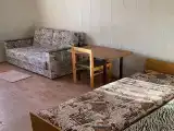 Двухместный номер с 2 отдельными кроватями и диваном 15