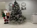 Двухместный номер с 1 кроватью улучшенный с видом на горы