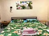 Одноместный номер с удобствами и видом на розовый сад