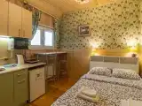 Двухместный номер с 1 кроватью и видом на Волгу