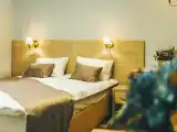 Двухместный номер с 1 кроватью стандарт +