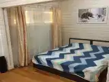 Двухместный номер с 1 кроватью стандарт с двуспальной кроватью