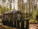 Четырёхместный номер улучшенный