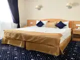 Двухместный номер с 1 кроватью бизнес 101-105
