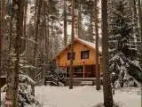 Отдельный дом Дом Черничный