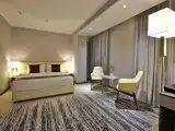 Двухместный номер с 1 кроватью Deluxe Double