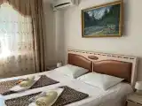 Двухместный номер с 1 кроватью эконом с видом на горы