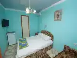 Двухместный номер с 1 кроватью 22