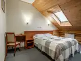 Двухместный номер с 1 кроватью стандарт на мансарде