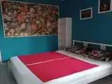 Двухместный номер с 1 кроватью №2 камушки 1 этаж