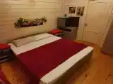 Двухместный номер с 1 кроватью N2