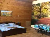 Двухместный номер с 1 кроватью люкс