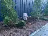 Двухместный номер с 1 кроватью стандарт