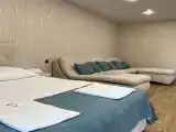 Двухместный номер с 1 кроватью 9