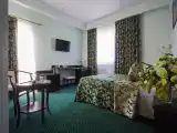 Двухместный номер с 1 кроватью студия