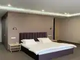 Двухместный номер с 1 кроватью люкс