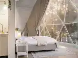 Купол стандарт