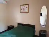 Двухместный номер с 1 кроватью эконом
