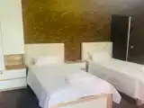 Двухместный номер с 2 отдельными кроватями люкс