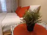 Двухместный номер с 1 кроватью стандарт