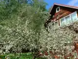 Трёхместный номер Семейный